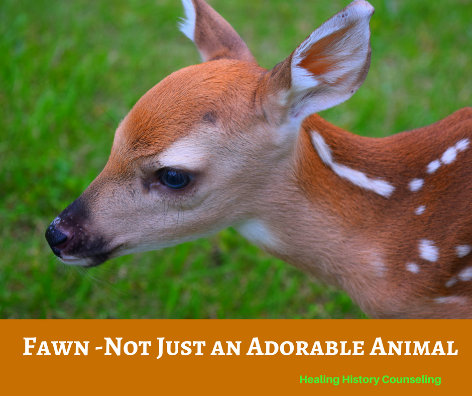 A fawn is very cute. But fawn is also the name of one of our four primary danger responses. Most people know about Fight and Flight. Many people have heard of Freeze, but very few have heard of Fawn. This is because it's existence was only suggested recently. The Fawn danger response is when someone attempts to avoid danger by being nice... to the extreme! This is when a person will expend a great deal of effort to keep the situation/individual from becoming dangerous. Then if it becomes dangerous, they will go to great lengths to diffuse the situation. They may take responsibility or blame for something that's not their fault or ignore their own needs or desires in order to make the dangerous situation safe. Adults who experienced intense danger when they were young may be more inclined to use the Fawn response to danger. Their best defense, as a powerless child, was to keep everyone happy.