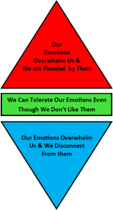 When unpleasant emotions overwhelm us we can become flooded by them or we can shut down and disconnect from them. Improving our tolerance of unpleasant emotions helps us avoid this.