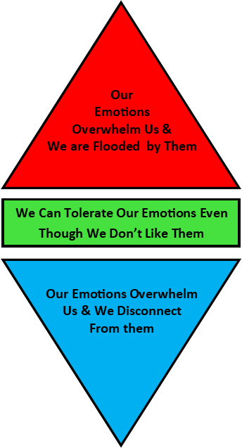 When unpleasant emotions overwhelm us we can become flooded by them or we can shut down and disconnect from them.  Improving our tolerance of unpleasant emotions helps us avoid this.